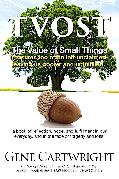 The Value of Small Things. Live non-fiction